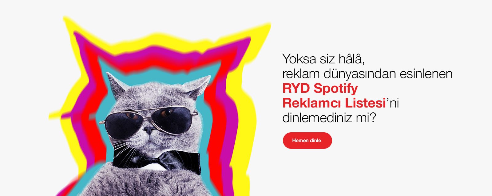 ryd spotify